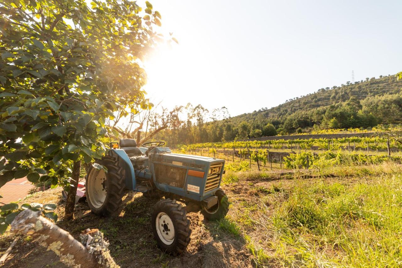 Quinta Da Fonte - Agroturismo Barroselas المظهر الخارجي الصورة