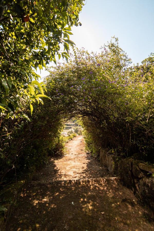 Quinta Da Fonte - Agroturismo Barroselas المظهر الخارجي الصورة