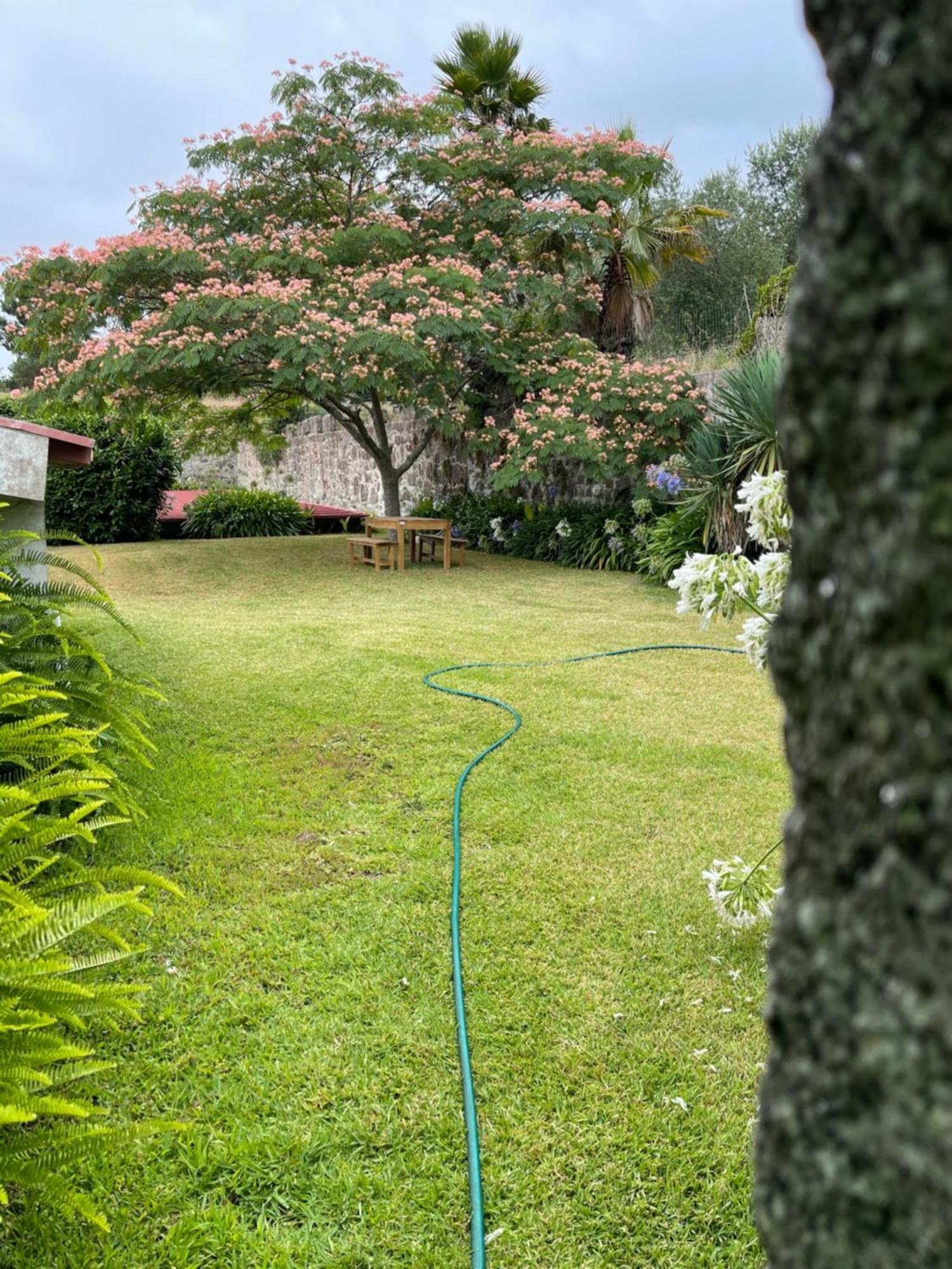 Quinta Da Fonte - Agroturismo Barroselas المظهر الخارجي الصورة