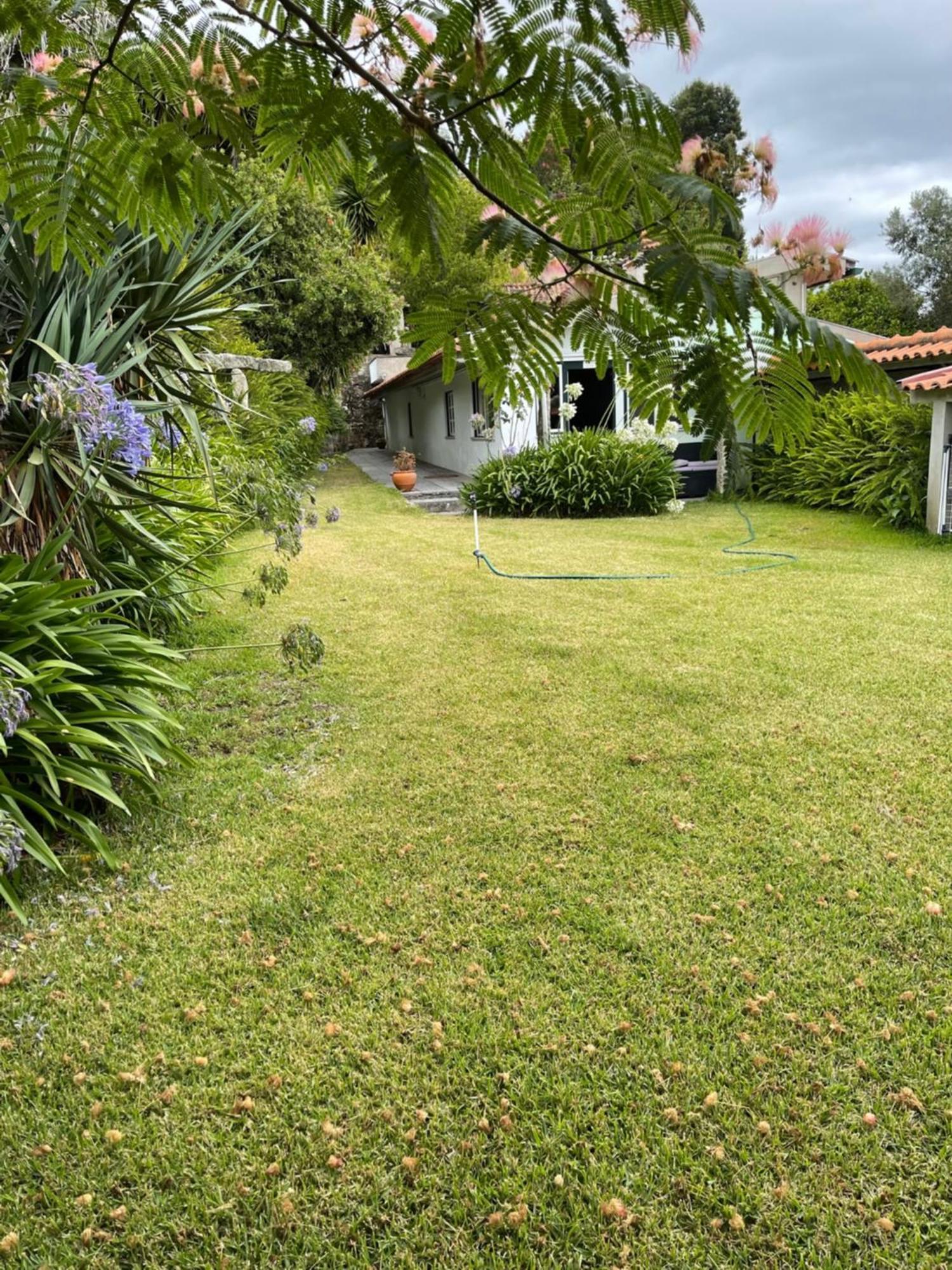Quinta Da Fonte - Agroturismo Barroselas المظهر الخارجي الصورة